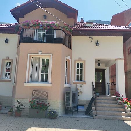 Vila Ana Baile Herculane Exterior photo